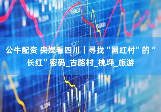 公牛配资 央媒看四川｜寻找“网红村”的“长红”密码_古路村_桃坪_旅游
