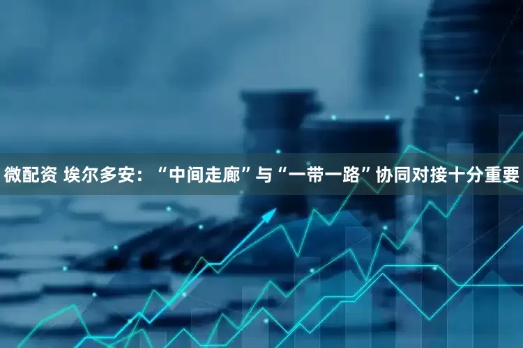 微配资 埃尔多安：“中间走廊”与“一带一路”协同对接十分重要