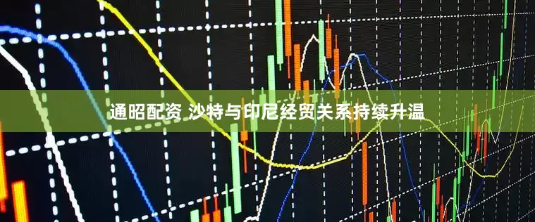 通昭配资 沙特与印尼经贸关系持续升温