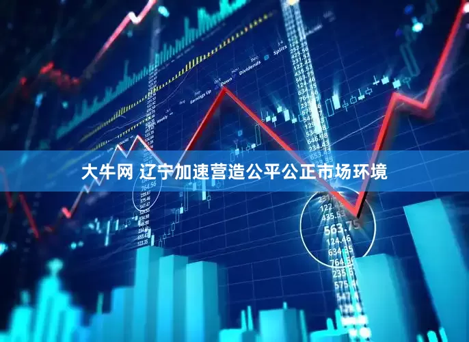 大牛网 辽宁加速营造公平公正市场环境